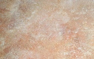 farina024.jpg