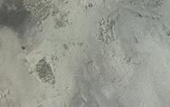 fresco0221.jpg