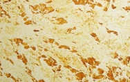 crem-plast0601.jpg